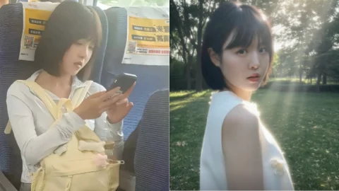 真铁蛋高铁事件