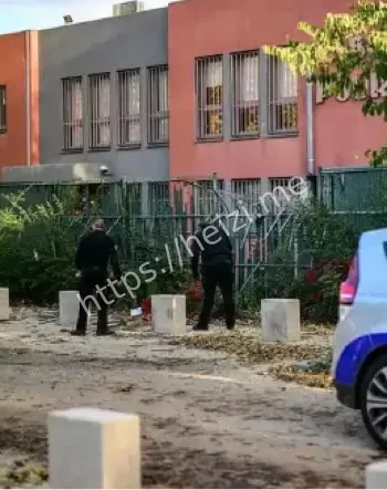 法国里昂贵金属精炼厂抢劫案详解